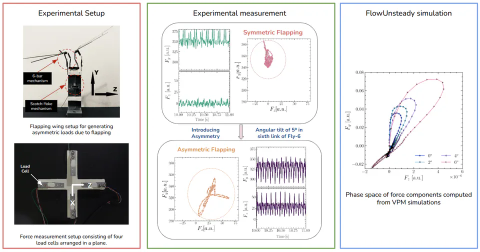Chaotic Wake Dynamics of Flapping Wings