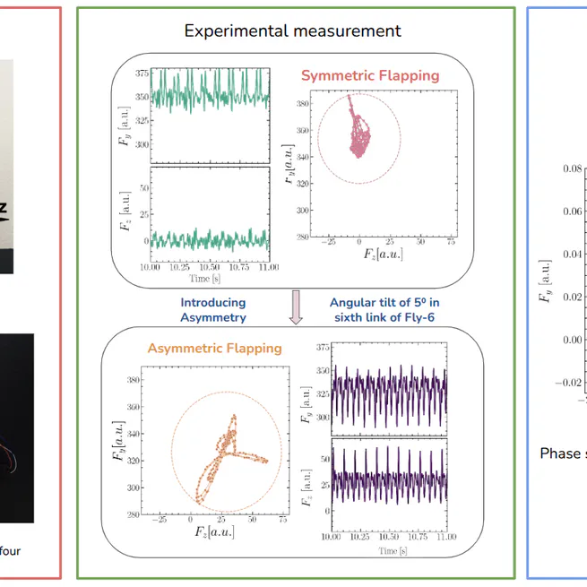 Chaotic Wake Dynamics of Flapping Wings