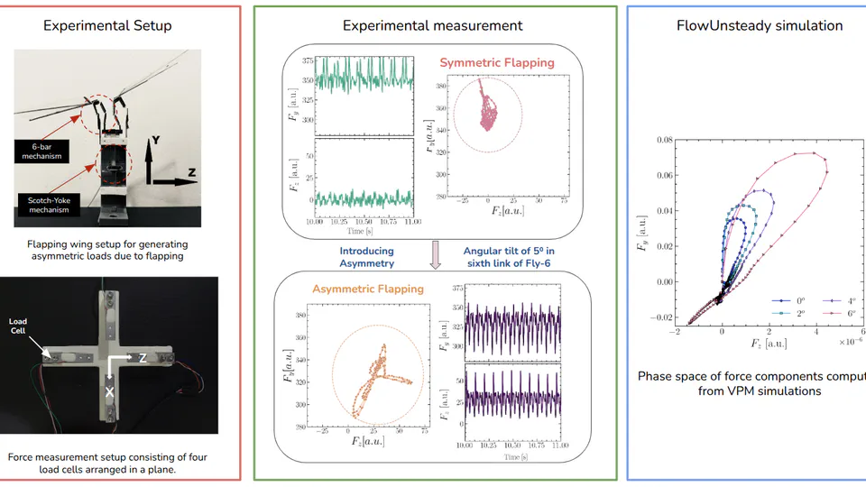 Chaotic Wake Dynamics of Flapping Wings