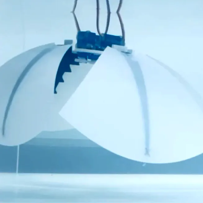 Analytical Model for Soft Robotic Membranes