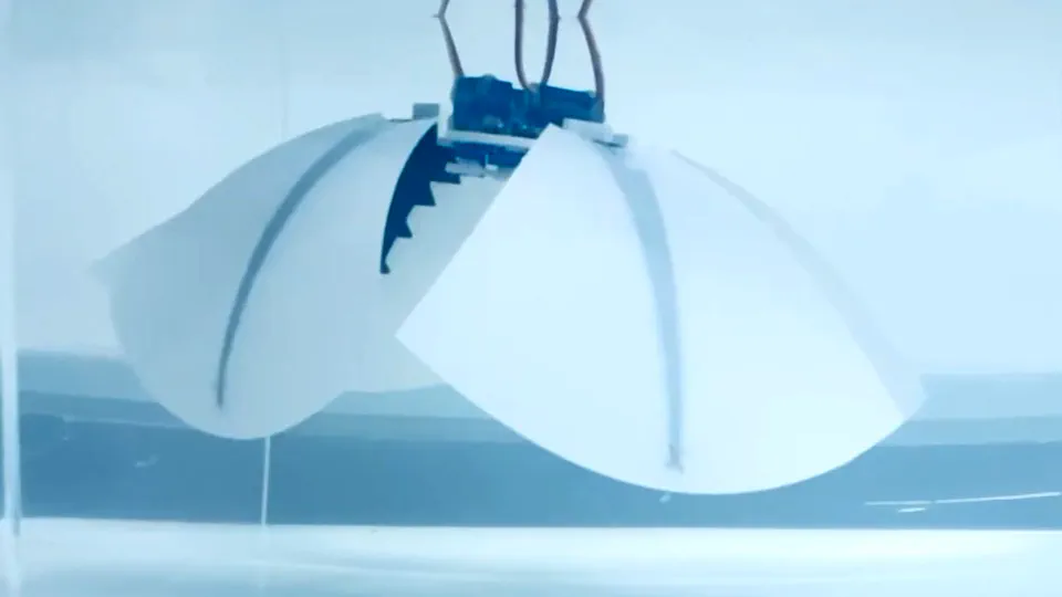 Analytical Model for Soft Robotic Membranes